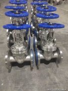 中核苏阀构建了符合核电