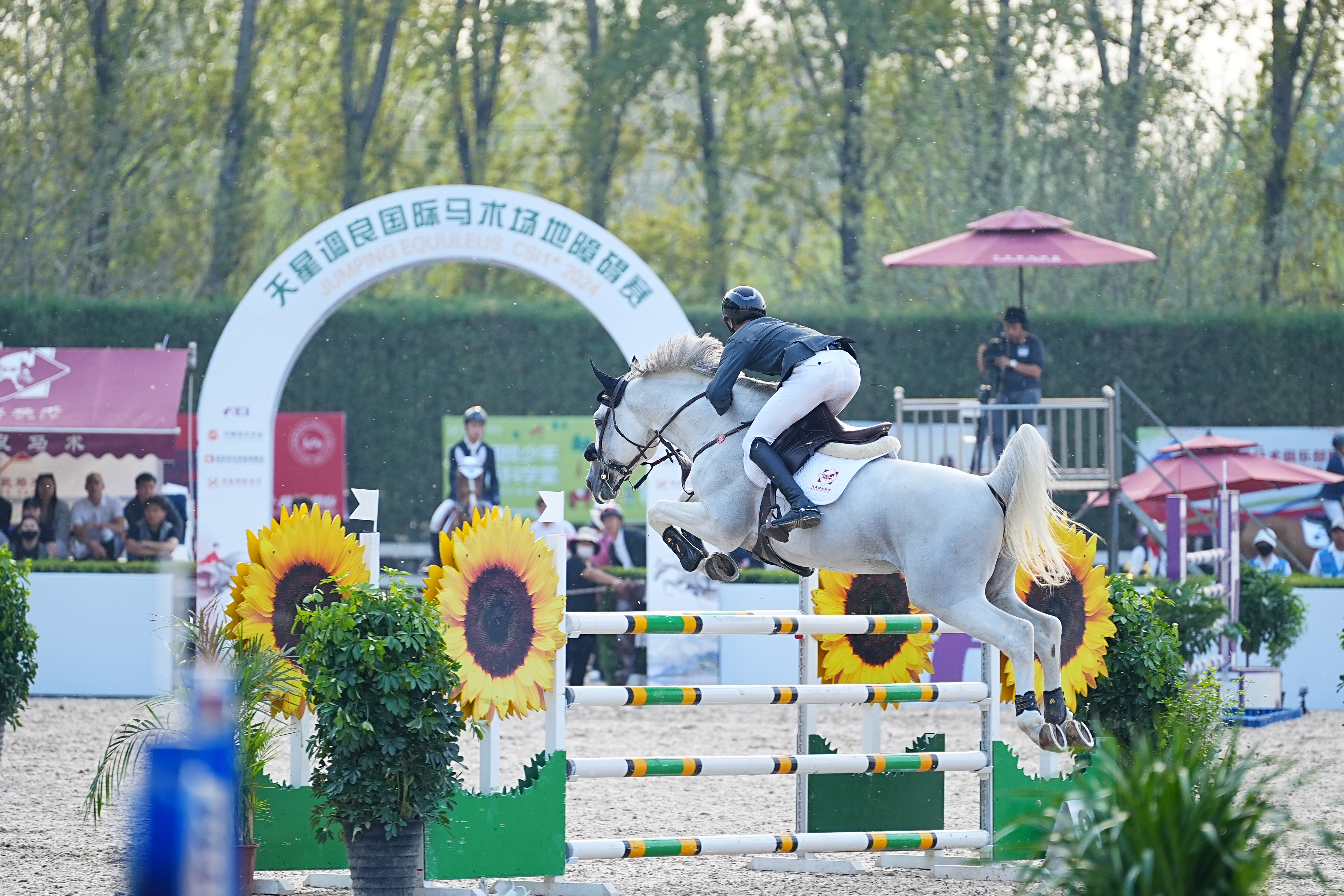 265对人马汇聚北京，国际